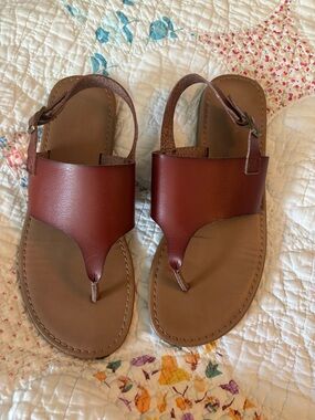 Sonoma Deep Brown Leather Slip-On Sandal with Toe thong and heel buckle.